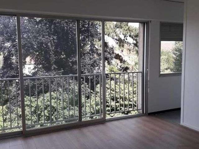 Location appartement 1 pièce Nancy 54