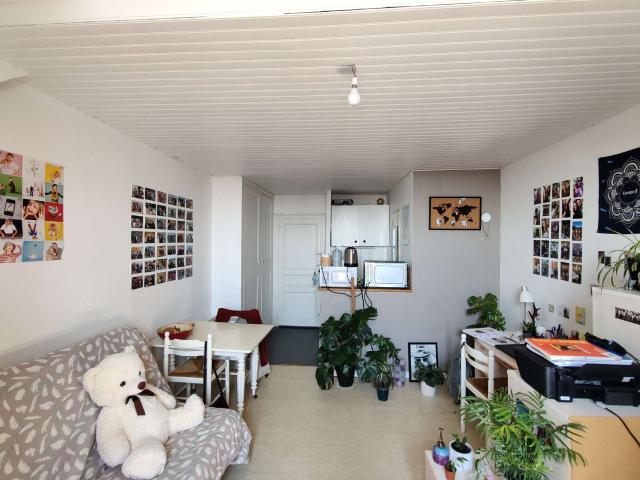 Location appartement 1 pièce Nantes Canclaux Mellinet 44