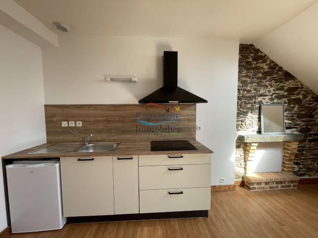 Location appartement 1 pièce Nort sur Erdre 44