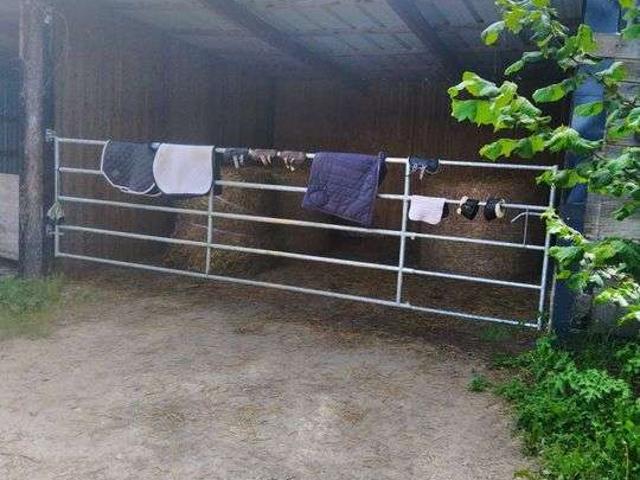 Location appartement 1 pièce Ouilly du Houley 14