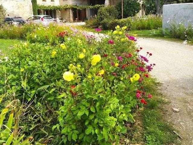 Location appartement 1 pièce Bésayes 26