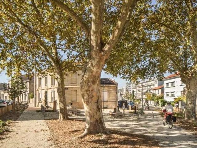Location appartement 1 pièce Bordeaux 33