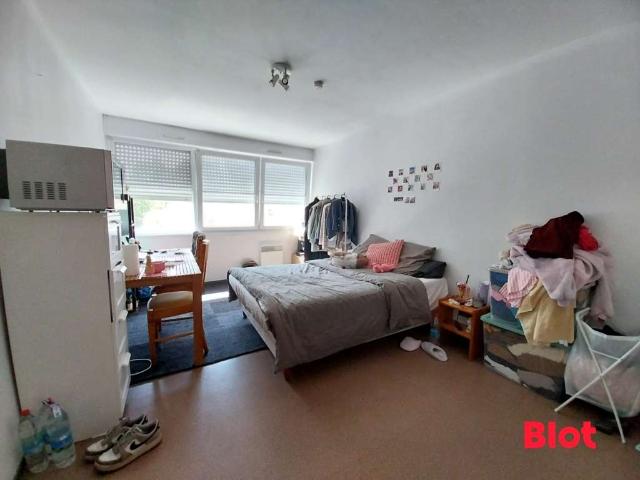 Location appartement 1 pièce Bruz 35