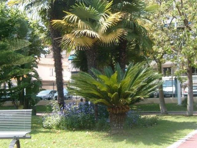 Location appartement 1 pièce Cannes 06