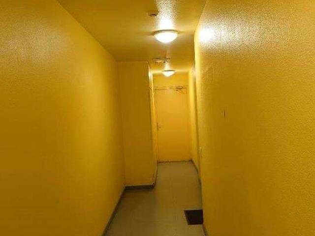 Location appartement 1 pièce Champs sur Marne 77