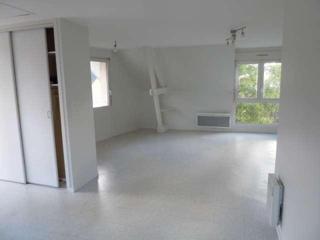 Location appartement 1 pièce Château Gontier 53