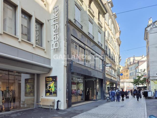 Location Appartement 1 pièce CHF 1'100. /mois 18 m2 | immobilier.ch