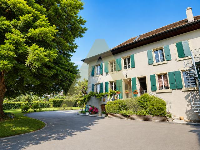Location Appartement 1 pièce CHF 1'450. /mois | immobilier.ch