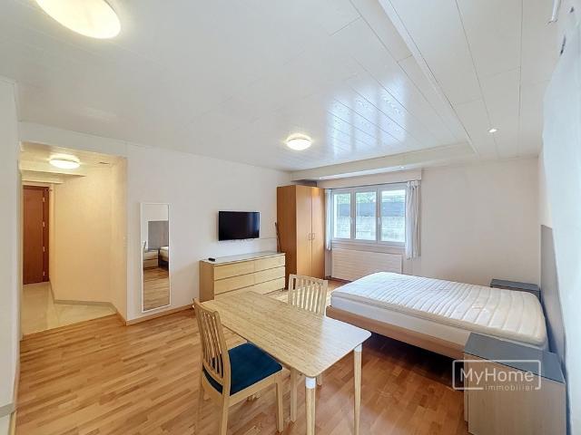 Location Appartement 1 pièce CHF 1'500. /mois 33 m2 | immobilier.ch