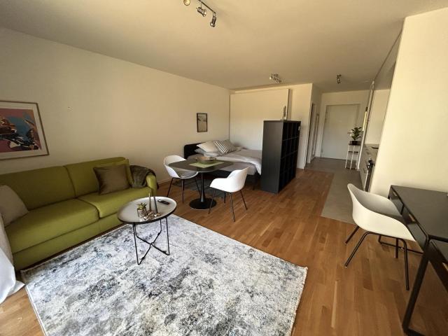 Location Appartement 1 pièce CHF 1'740. /mois | immobilier.ch