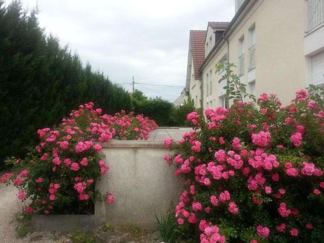 Location appartement 1 pièce Dijon 21