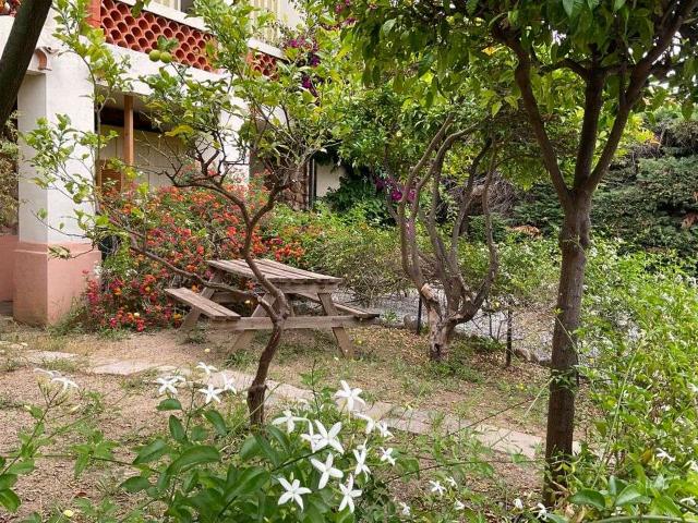 Location appartement 1 pièce Hyères 83
