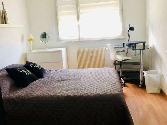Location appartement 1 pièce Hoenheim 67