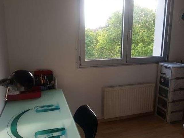 Location appartement 1 pièce Ittenheim 67