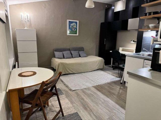 Location appartement 1 pièce Lyon 4e 69