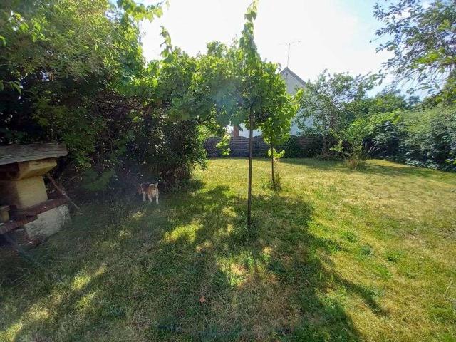 Location appartement 1 pièce La Chapelle Saint Sépulcre 45