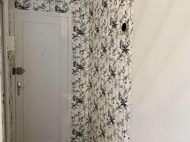 Location appartement 1 pièce Limoges 87