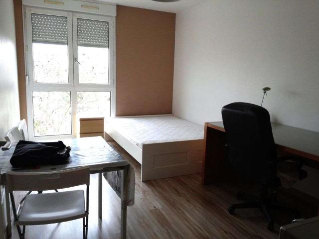Location appartement 1 pièce Pau 64