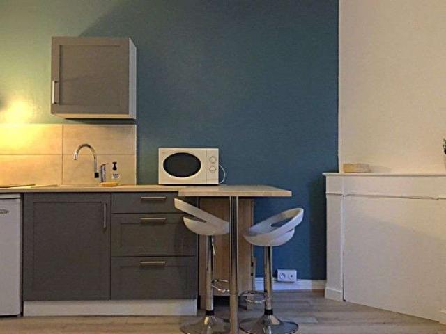 Location appartement 1 pièce Rennes Centre Ville 35