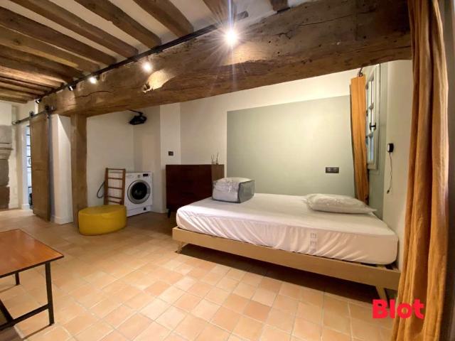 Location appartement 1 pièce Rennes Centre Ville 35