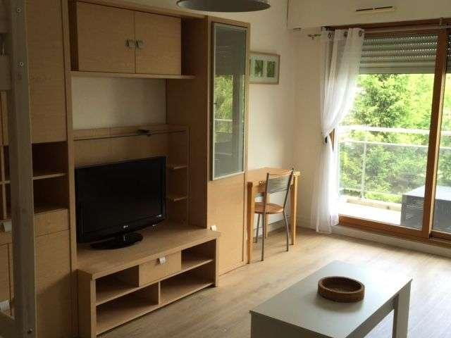 Location appartement 1 pièce Ris Orangis 91