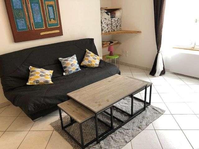Location appartement 1 pièce Sully la Chapelle 45