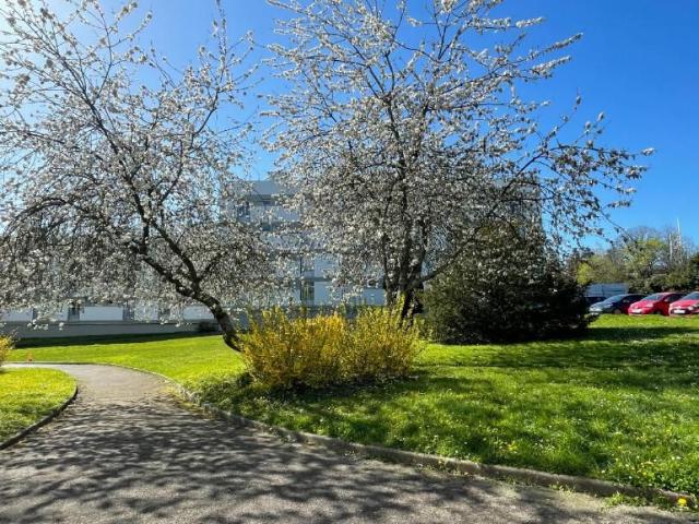 Location Appartement 1 pièce s de 23.64 m2