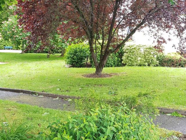Location appartement 1 pièce Vannes Sud est 56