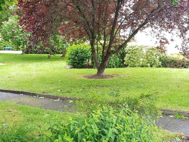Location appartement 1 pièce Vannes Sud est 56