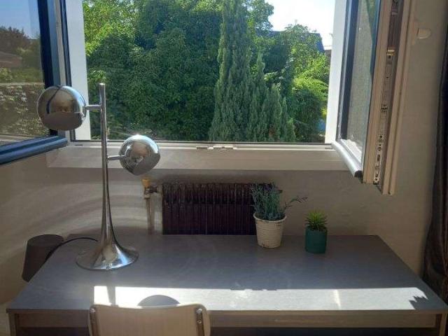 Location appartement 1 pièce Wattignies 59