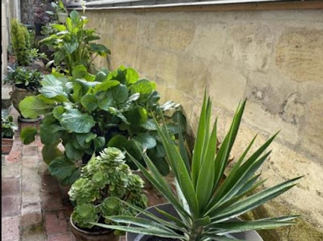 Location Appartement 1 pièce 0 m2 Bordeaux