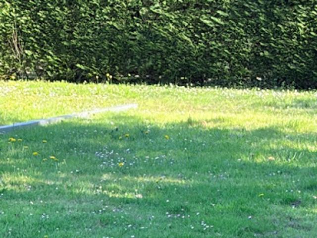 Location Appartement 1 pièce 0 m2 Saint Loubès