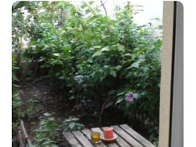 Location Appartement 1 pièce 15 m2 Grenoble