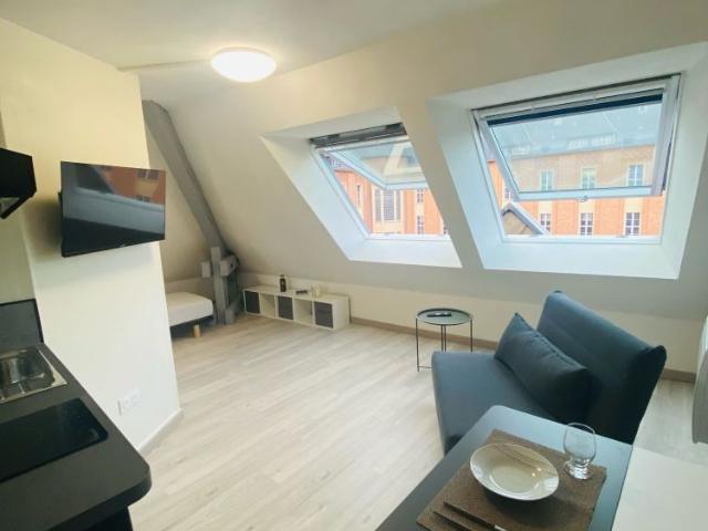 Location Appartement 1 pièce 15m² METZ 57000