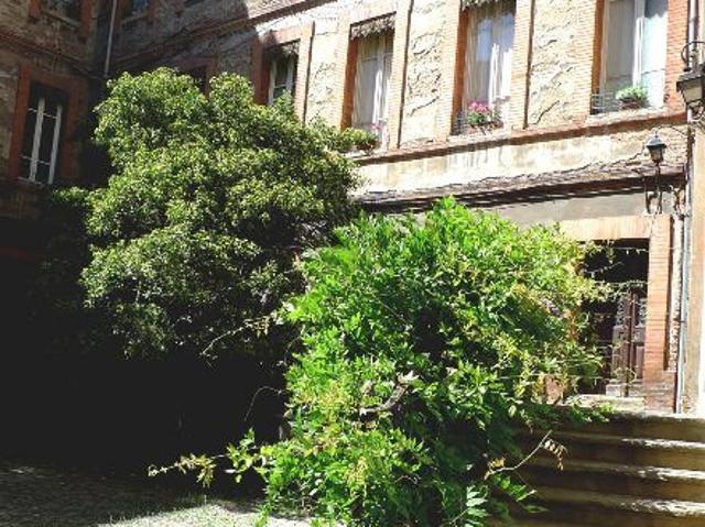 Location Appartement 1 pièce 16m² TOULOUSE 31000
