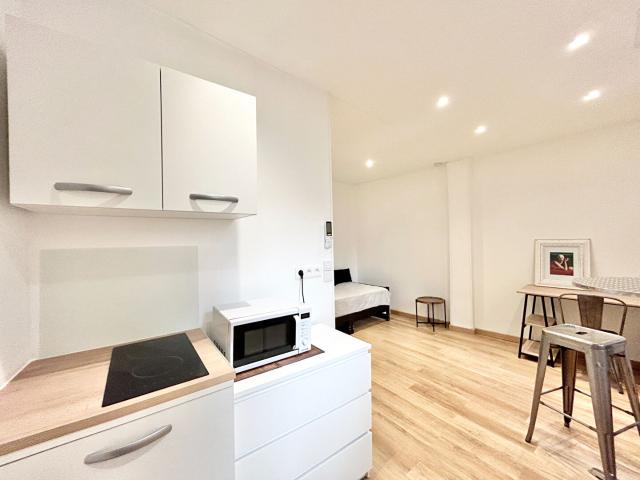 Location Appartement 1 pièce 16m² LYON 7ème