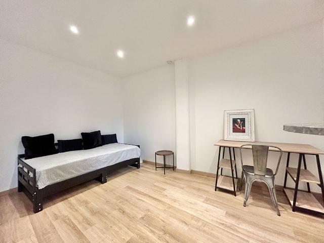 Location Appartement 1 pièce 16m² LYON 7ème