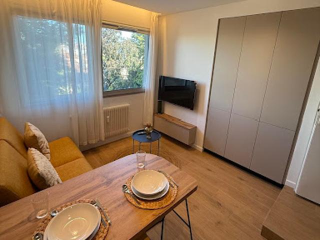 Location Appartement 1 pièce 17 m2 Villeurbanne