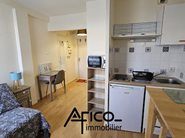 Location Appartement 1 pièce 17.14 m2 Tours