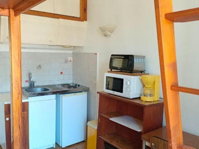 Location Appartement 1 pièce 18 m2 Grenoble