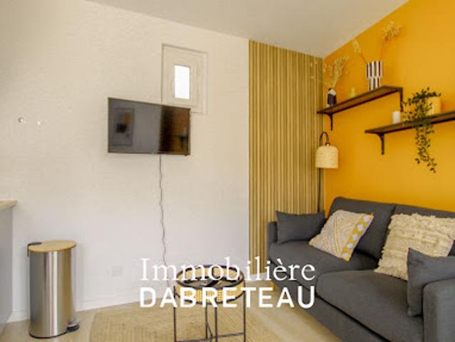 Location Appartement 1 pièce 18.52 m2 Villeurbanne