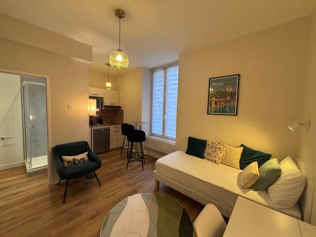 Location Appartement 1 pièce 18m² ANGERS 49100