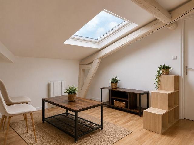 Location Appartement 1 pièce 18m² REIMS 51100