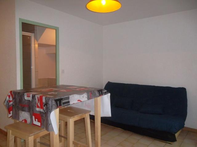 Location Appartement 1 pièce 18m² ROANNE 42300