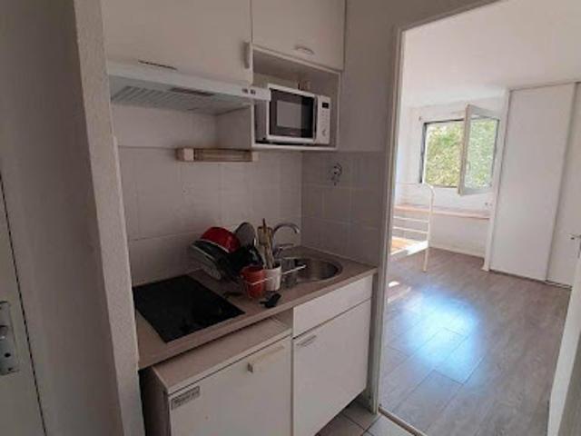 Location Appartement 1 pièce 19 m2 Lyon 3ème