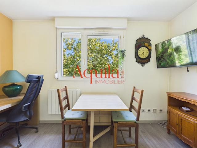 Location Appartement 1 pièce 19.55 m2 Villeurbanne
