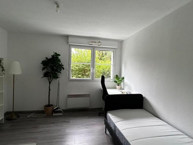 Location Appartement 1 pièce 19m² MULHOUSE 68100