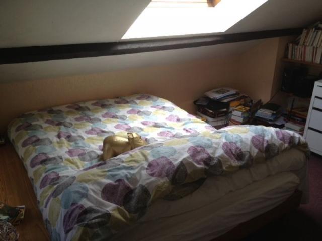 Location Appartement 1 pièce 12m²