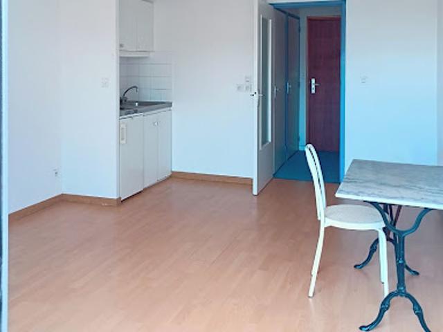 Location Appartement 1 pièce 24 m2 Olivet