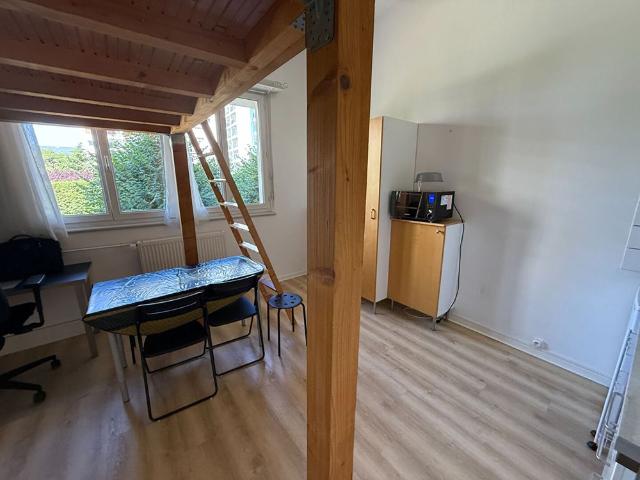 Location Appartement 1 pièce 24m² STRASBOURG 67000